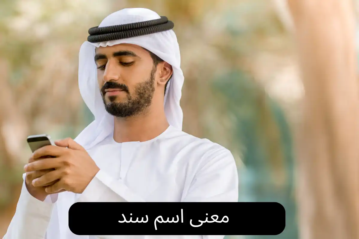 معنى اسم سند 
