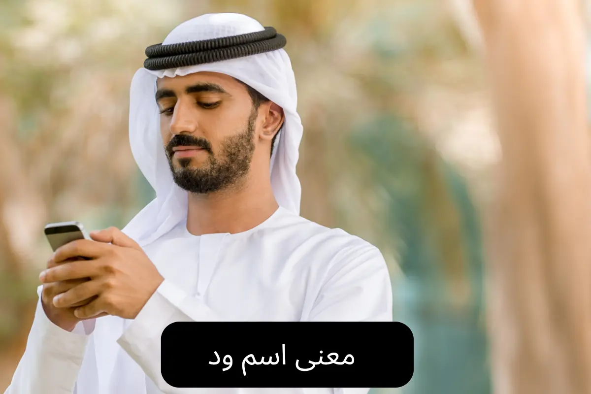 معنى اسم ود