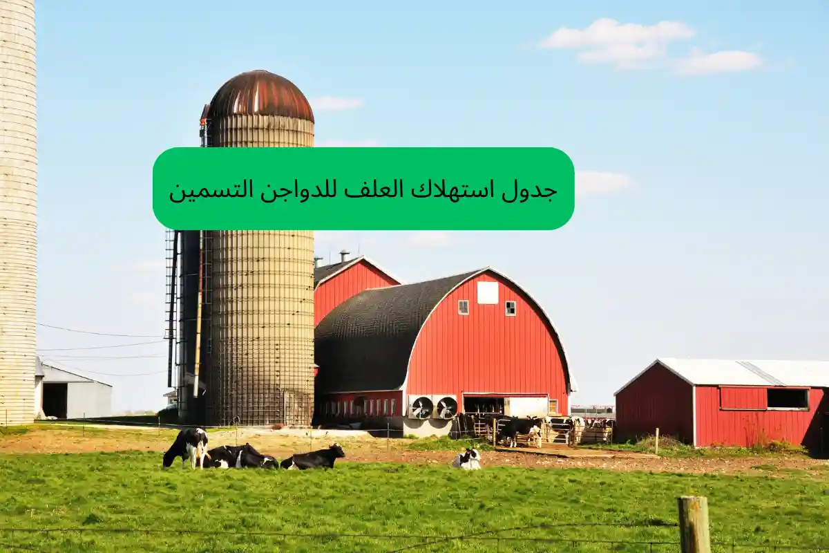 جدول استهلاك العلف للدواجن التسمين