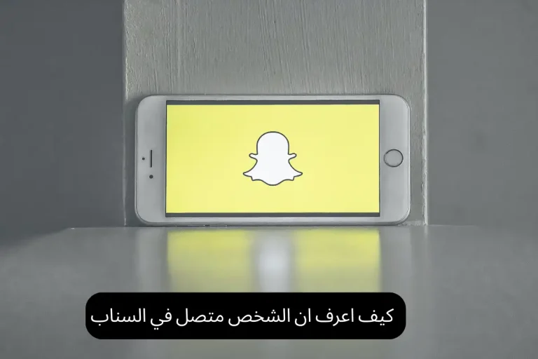 كيف اعرف ان الشخص متصل في السناب