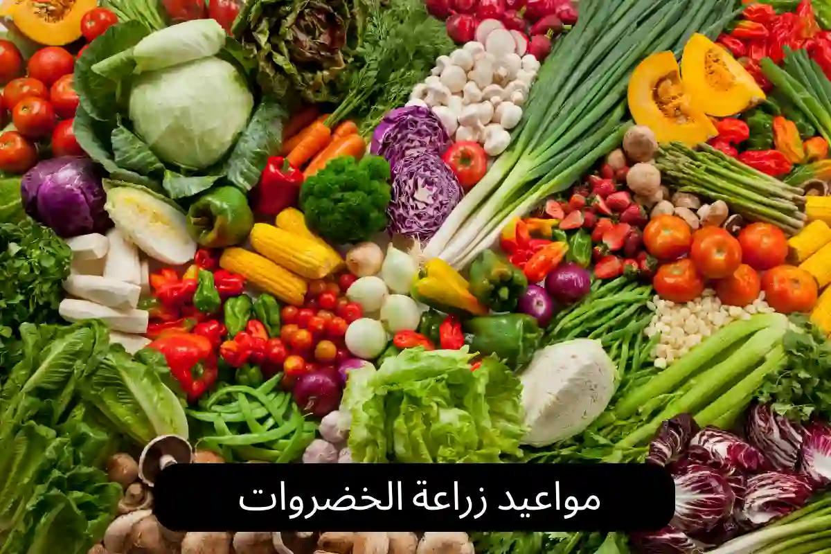 مواعيد زراعة الخضروات