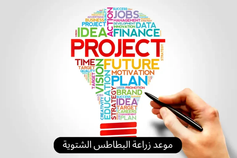 موعد زراعة البطاطس الشتوية