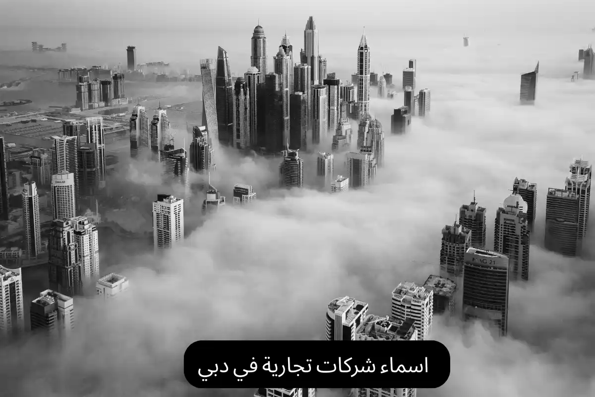 اسماء شركات تجارية في دبي